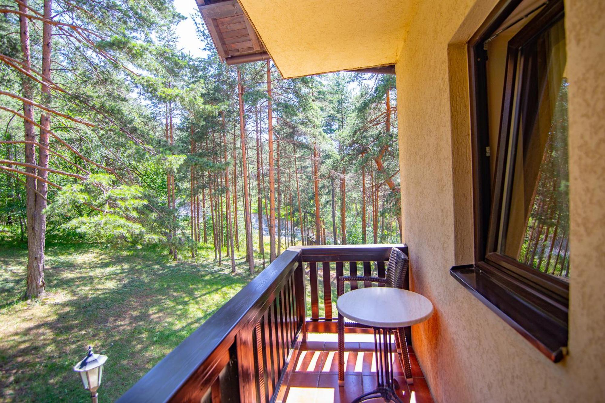 Pina Zlatibor